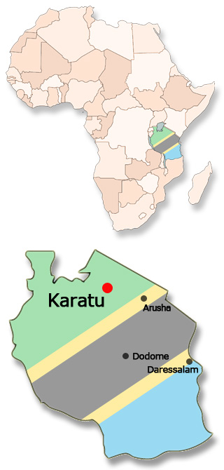 Karte von Afrika und Tansania